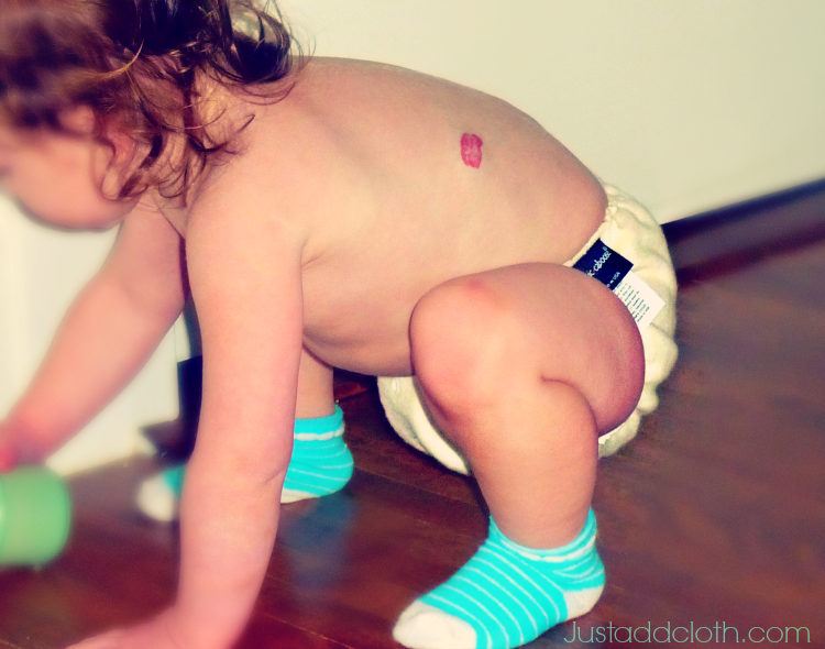 cloth diapering with fitteds
