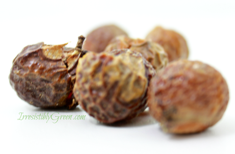 soap nuts 1