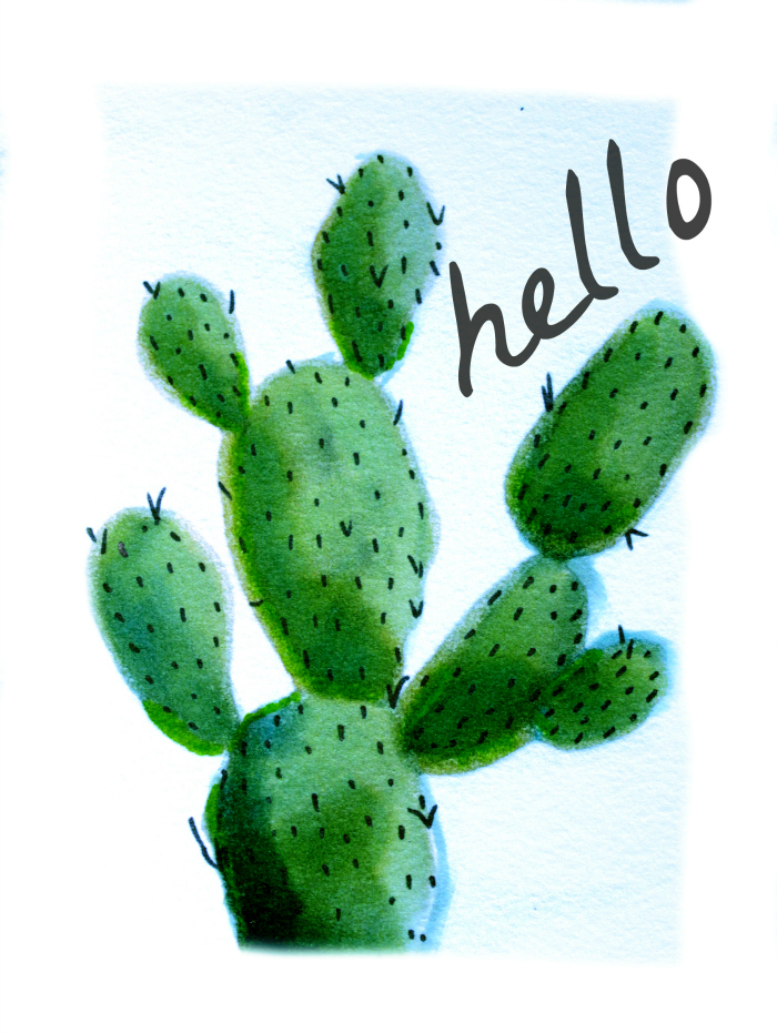 hello cactus painting