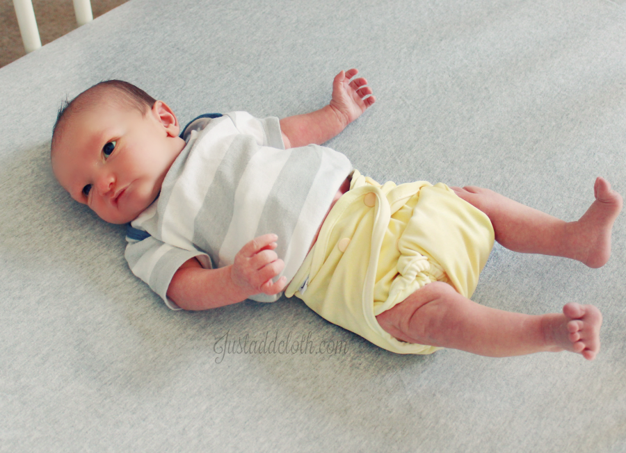 buttons cloth diapers newborn 3