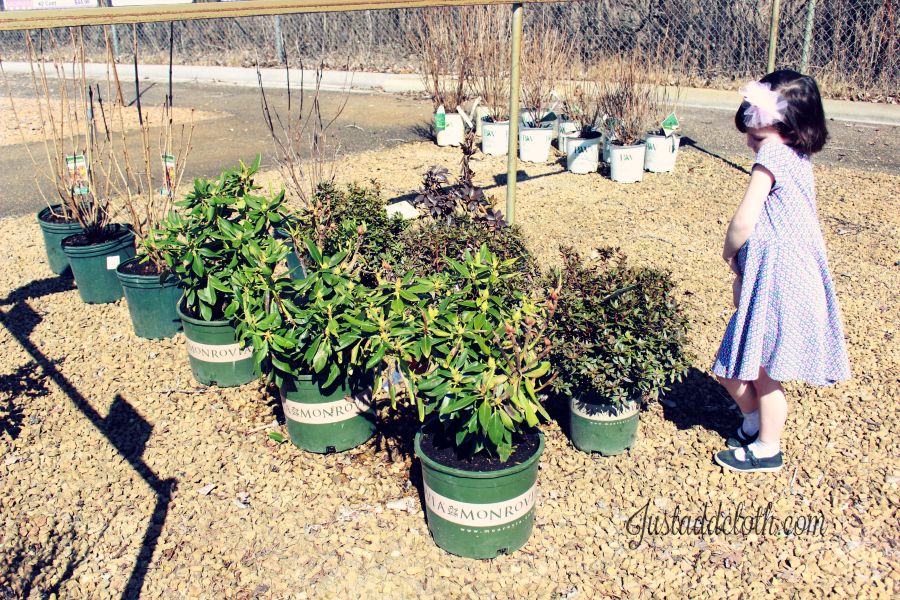 garden planning with color 3