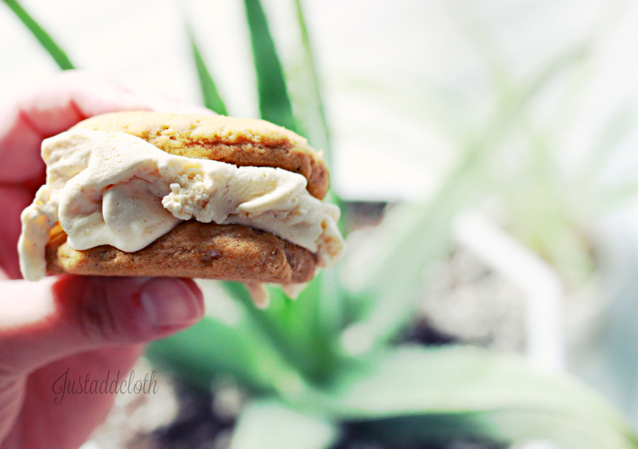 Soft & Chewy Gluten Free Pumpkin Cookies 3