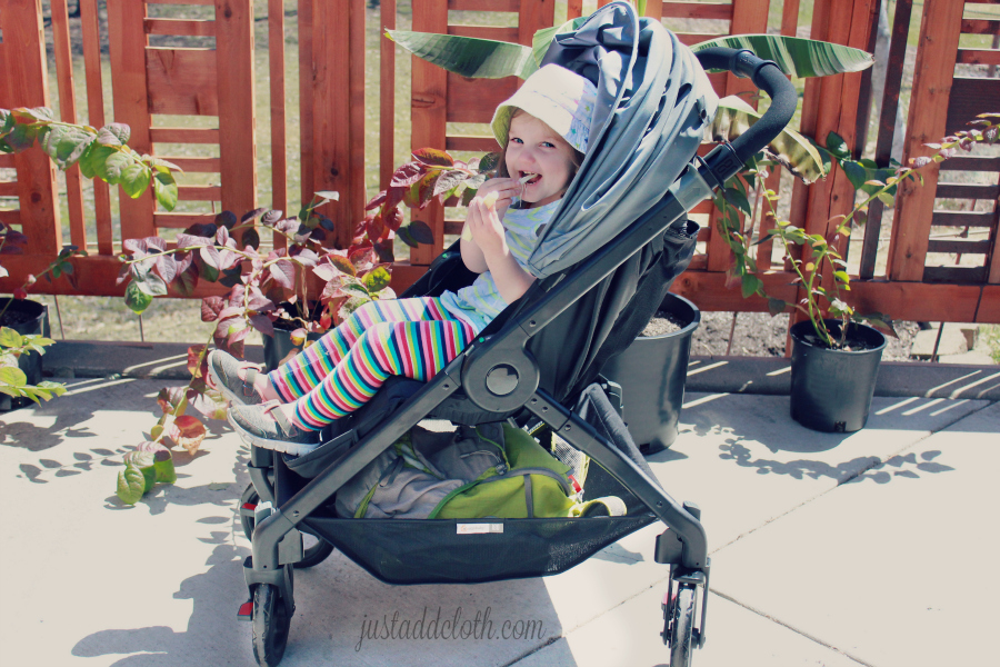 ergobaby 180 stroller 7