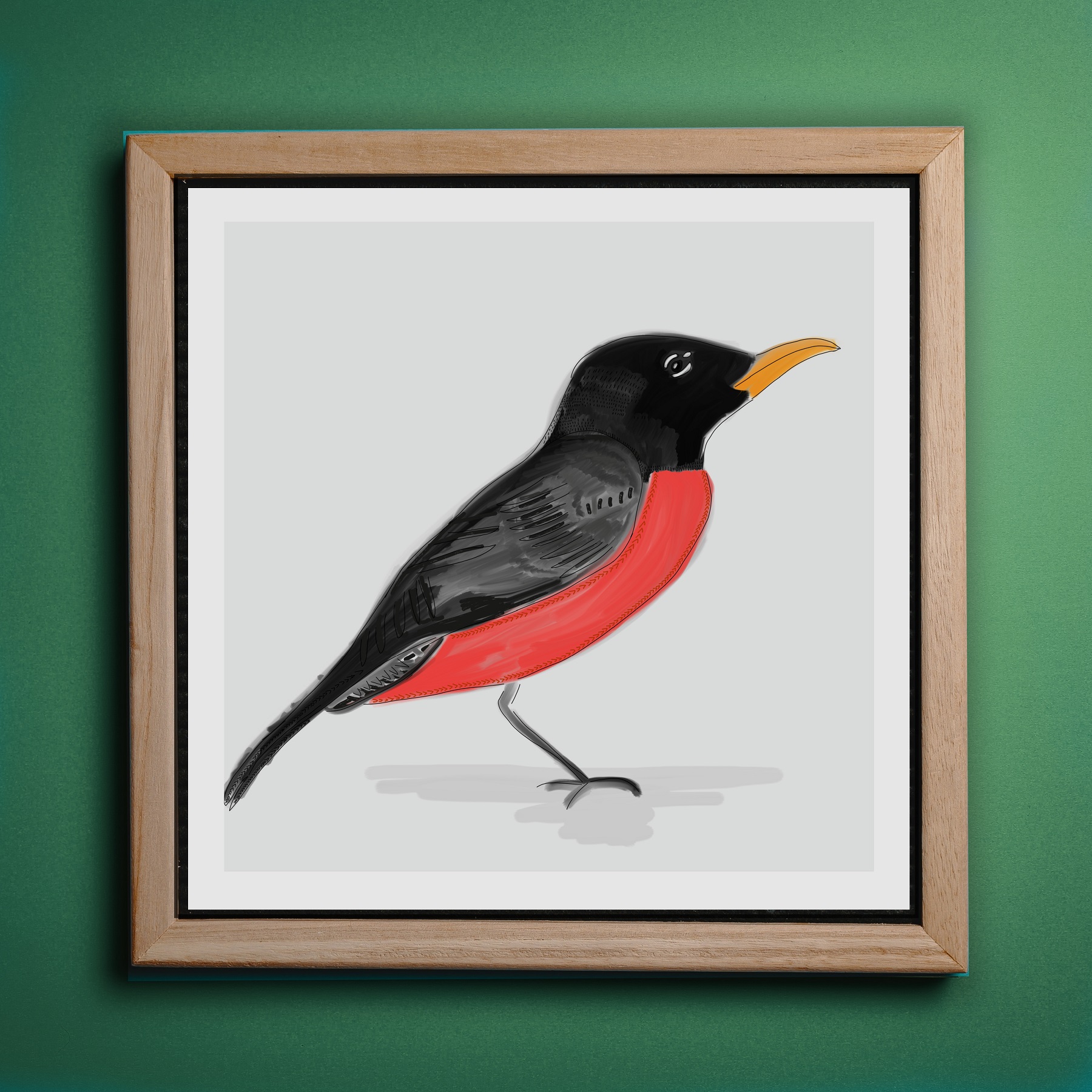 robin bird painting