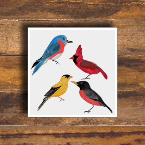 North American Birds of Minnesota Art Print, Robin, Finch, Cardinal, Bluebird - Image 10