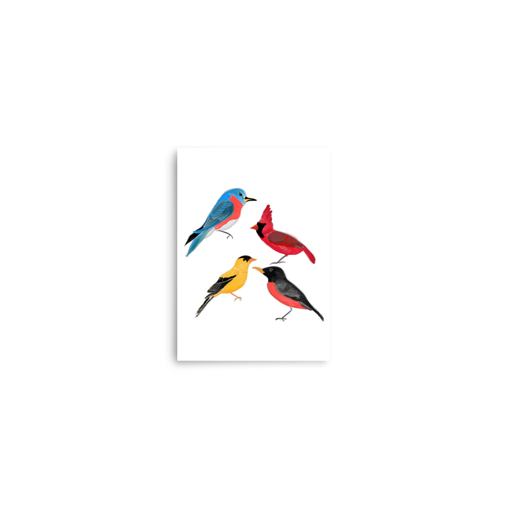 North American Birds of Minnesota Art Print, Robin, Finch, Cardinal, Bluebird - Image 8