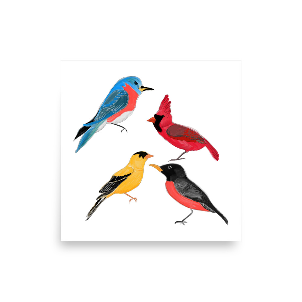 North American Birds of Minnesota Art Print, Robin, Finch, Cardinal, Bluebird - Image 4