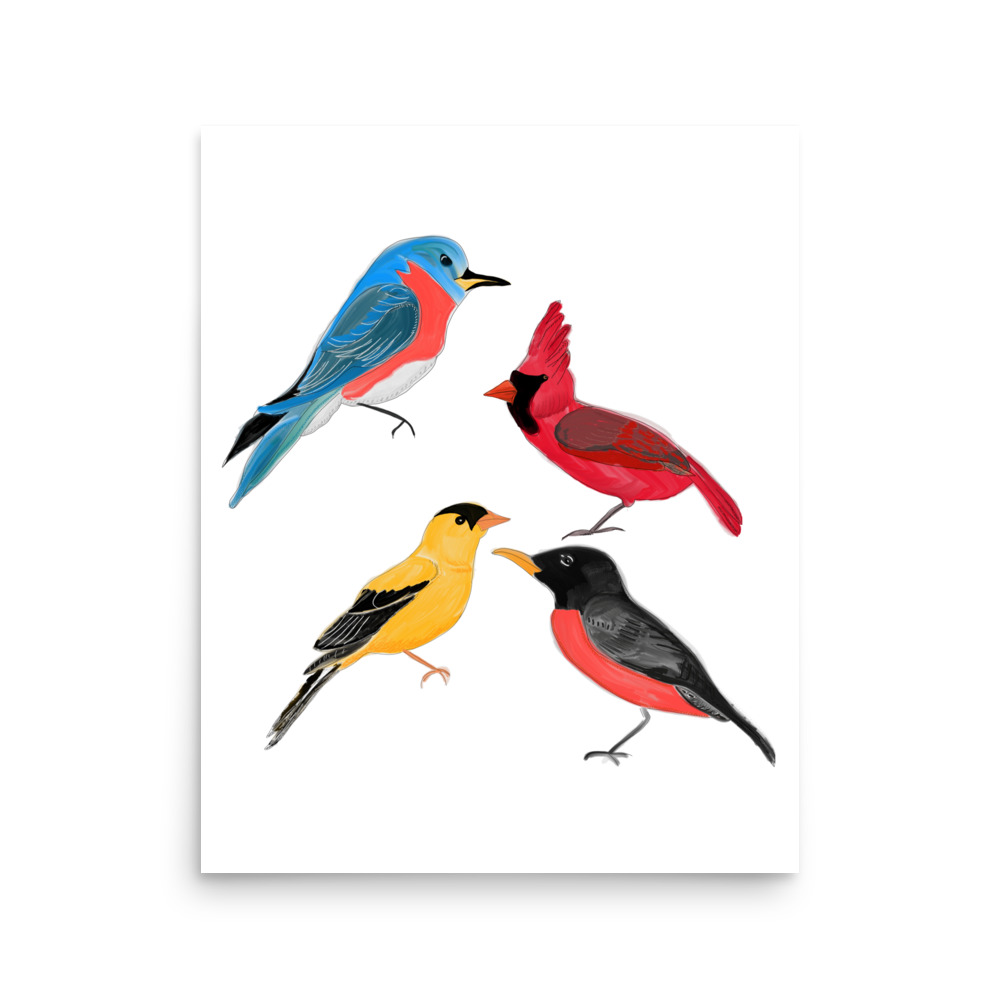 North American Birds of Minnesota Art Print, Robin, Finch, Cardinal, Bluebird - Image 6