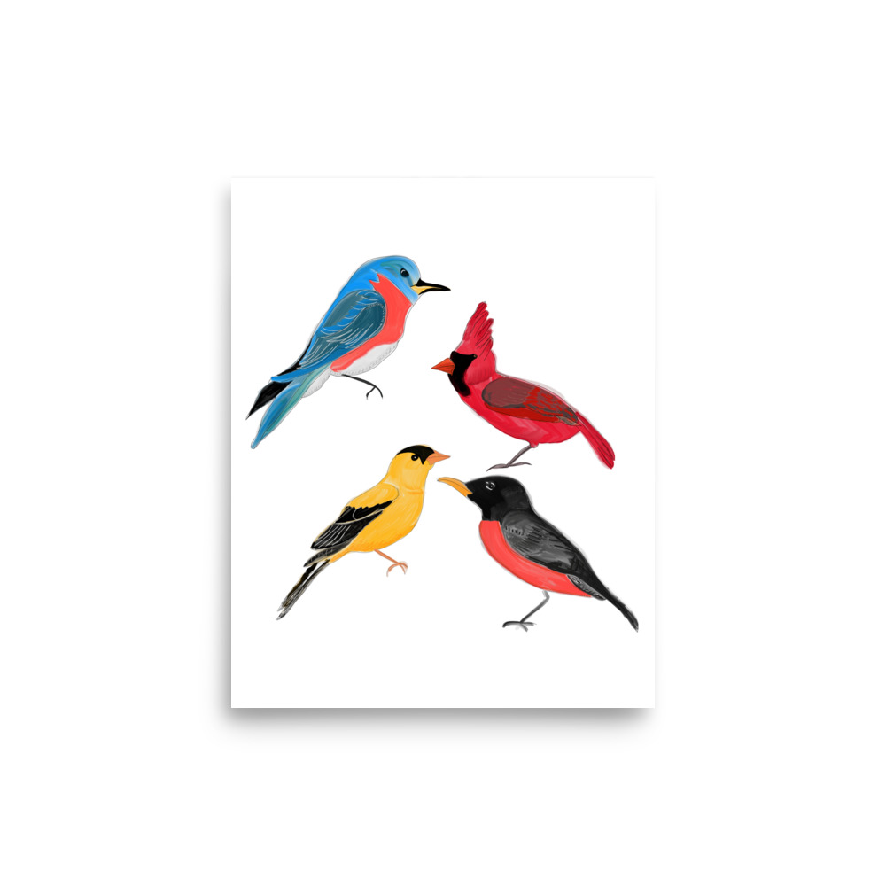 North American Birds of Minnesota Art Print, Robin, Finch, Cardinal, Bluebird - Image 9