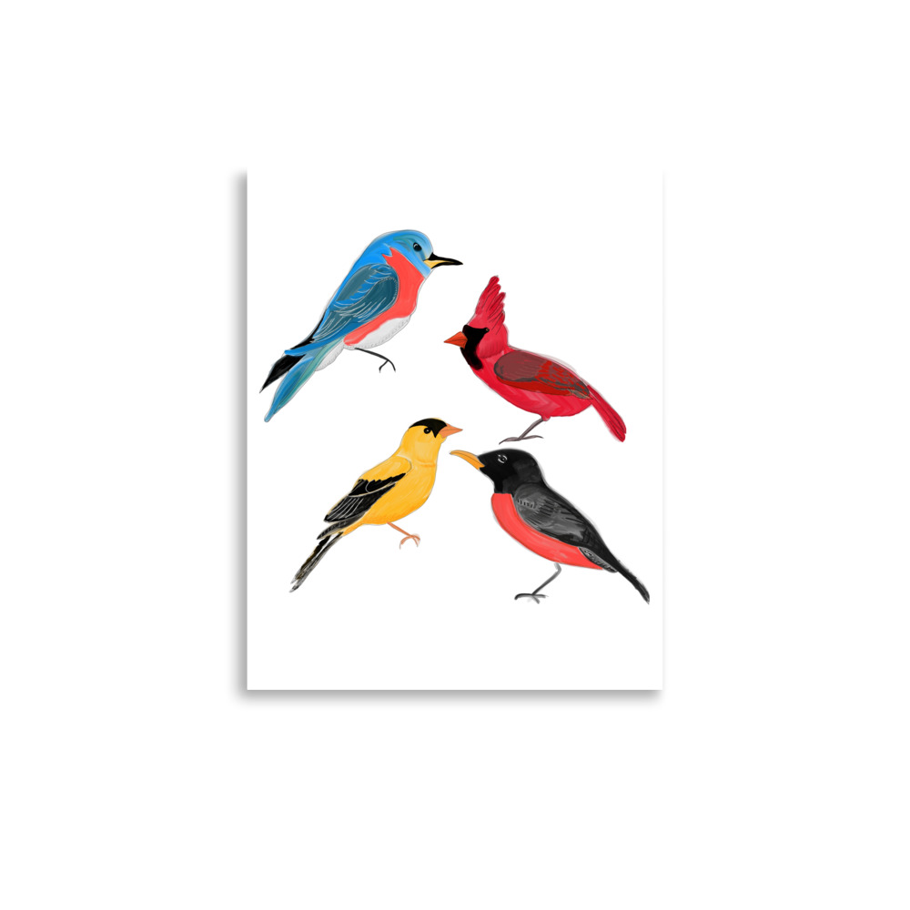 North American Birds of Minnesota Art Print, Robin, Finch, Cardinal, Bluebird - Image 2
